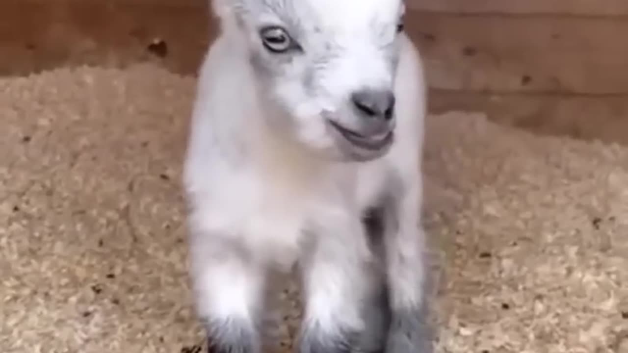 Funny Funny