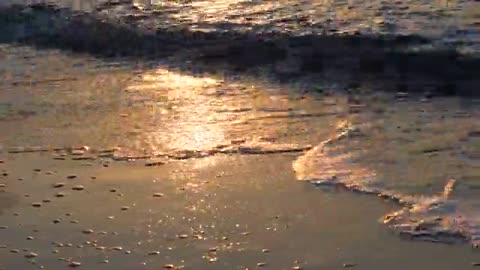 Sea wave golden sand.