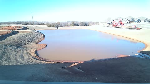The Pond