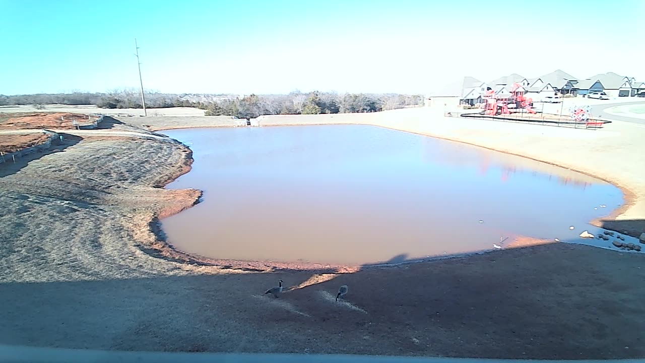 The Pond