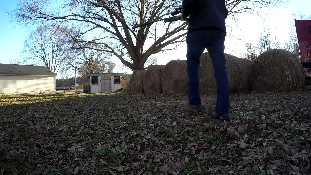 Airgun Hunting: Small Game Pt. 2