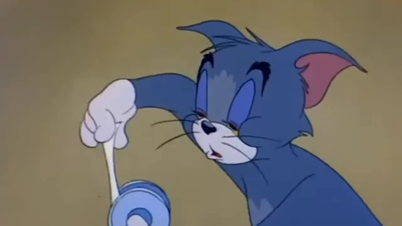 Tom and Jerry cartoon funny # cartoon #fun