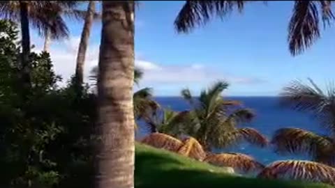 CUP!D$ ep 255 273.mp4