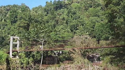 Suspended in Wonder: Hanging Bridges (CDO-BUKIDNON)