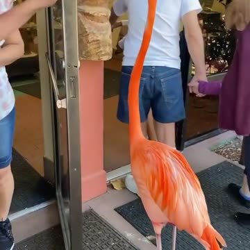 Nobody is gonna know in Orlando?!