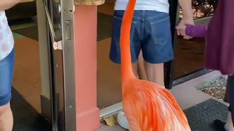 Nobody is gonna know in Orlando?!