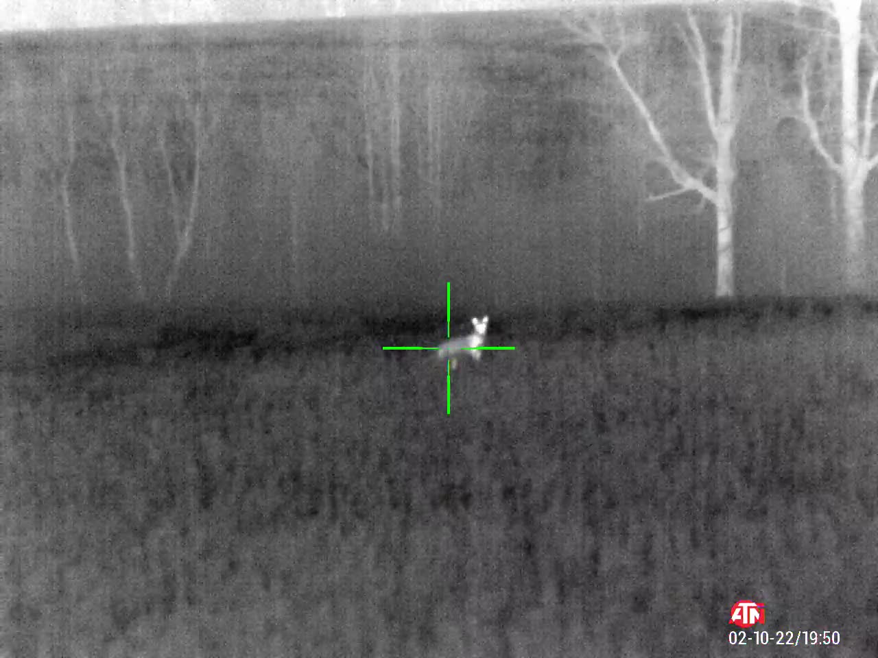 Coyote 5 - Leftwich Field