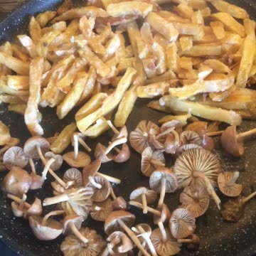 Leftovers from the Night Before!