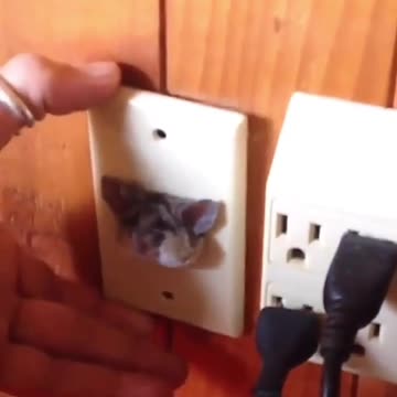 It's just that someone is eating too much