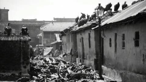 Esfera Hispanica(YouTube/Rumble): MADE IN ENGLAND