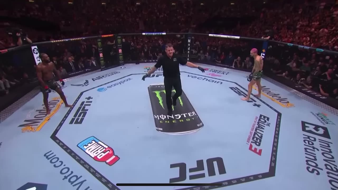 Sean O’Malley KOs Aljamain Sterling at UFC 292