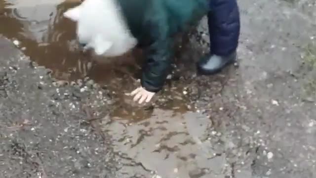 Funny Baby falls face first into water