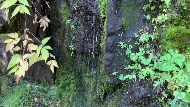 Oregon – Mount Hood – The Mightiest Waterfall I Have Ever Seen! – 4K
