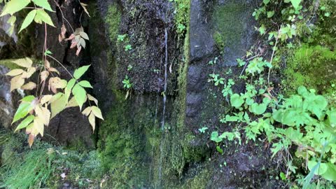 Oregon – Mount Hood – The Mightiest Waterfall I Have Ever Seen! – 4K