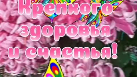 Доброе утро и прекрасного весеннего воскресного дня вам😘😘😘#elena_novikova