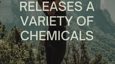 r brain release a variety of chemicals💢💢-serotonin, oxytocin, dopamine #shorts