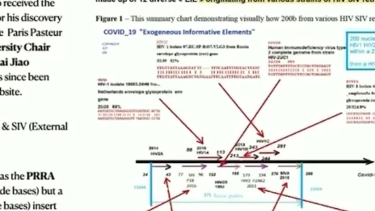 Luc Montagnier = Dr Richard Fleming speak of he work