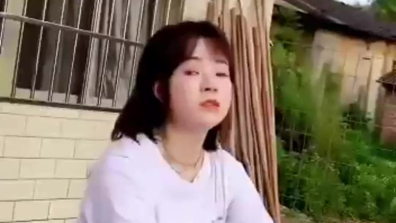 Funny videos