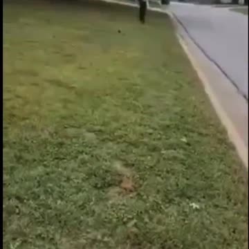 Parents vs The School Board