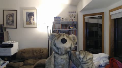 Bear Puppet Live-Hand Test