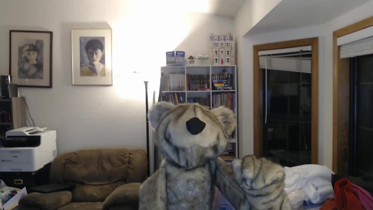 Bear Puppet Live-Hand Test
