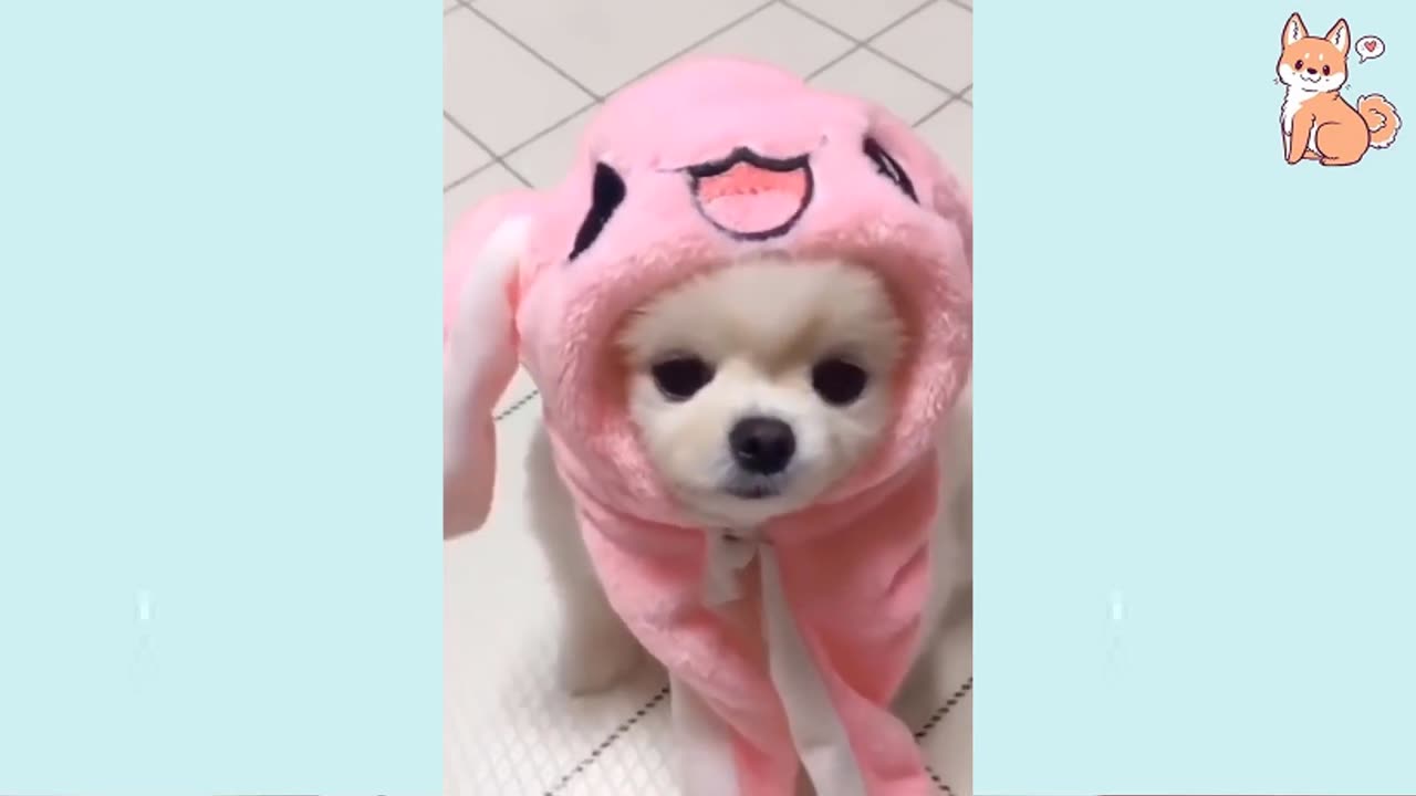 Cute funny pets 🤣 #27