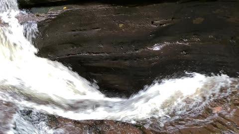 Murray Reynolds Falls from Above