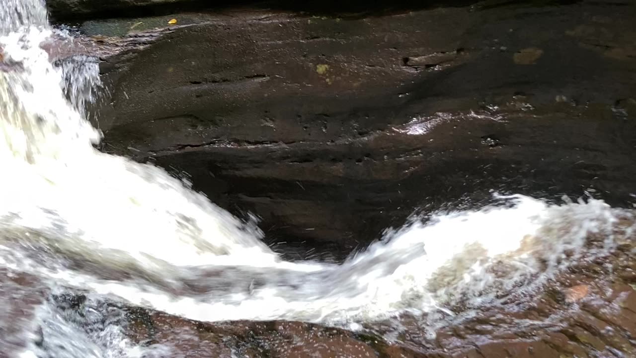 Murray Reynolds Falls from Above
