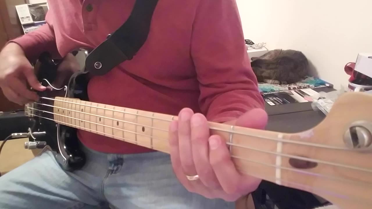 Romantics - Talking In Your Sleep Bass Cover