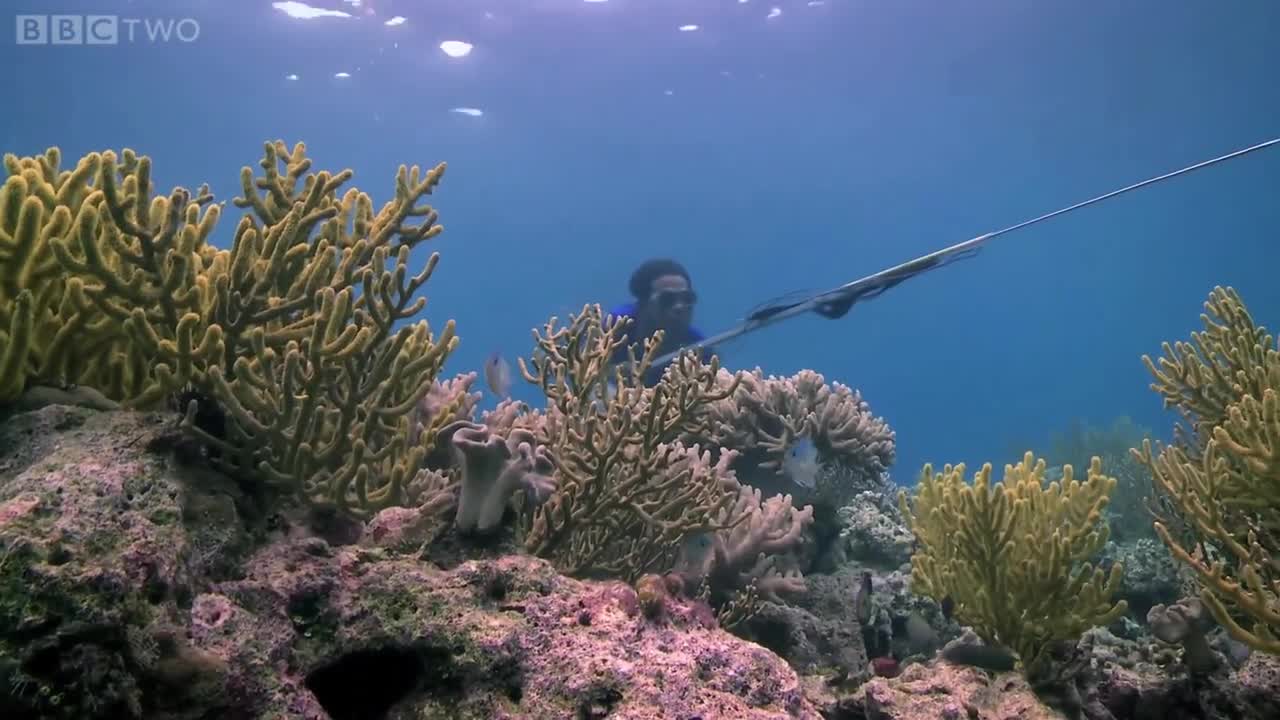 Bajau people of the Banda Sea - Rise of the Continents - Episode 2 Preview - BBC Two