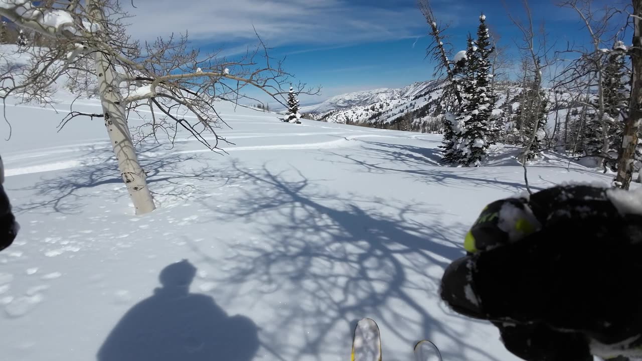 3/28 #9 Finishing up after the crash it was a beautiful run