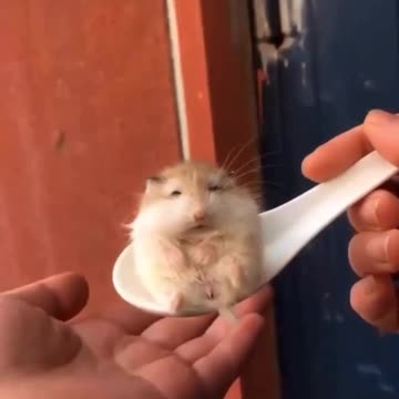 Little dumpling 😍😍