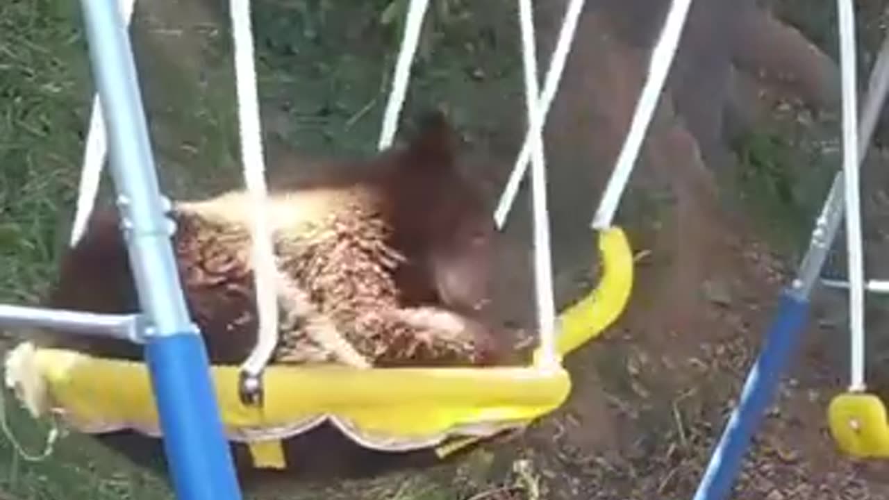 🤣🤣🤣