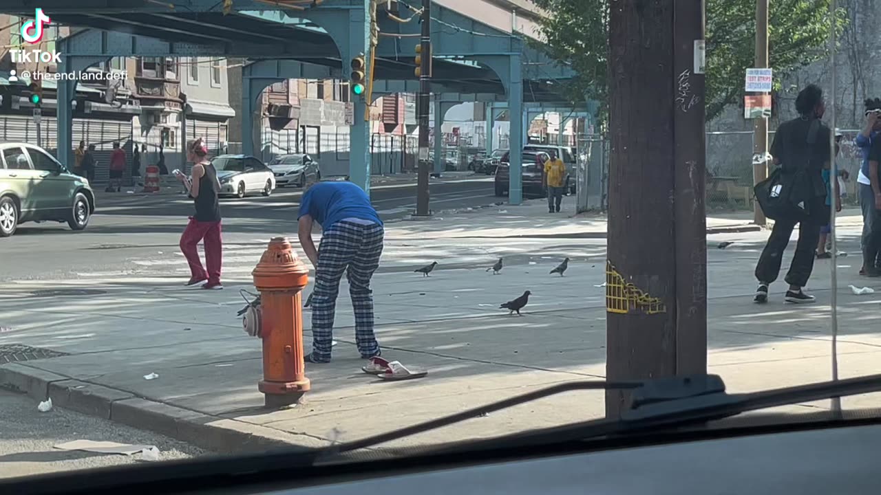 Dinner Time in Kensington