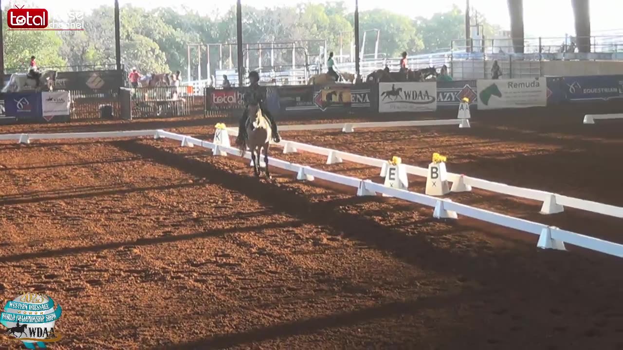 WDAA Western Dressage World Championship | ring 4 | Day 3