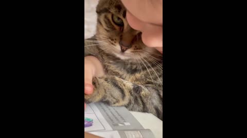 Little girl adorably teaches her cat how to draw #shorts