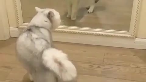 Who are you ?