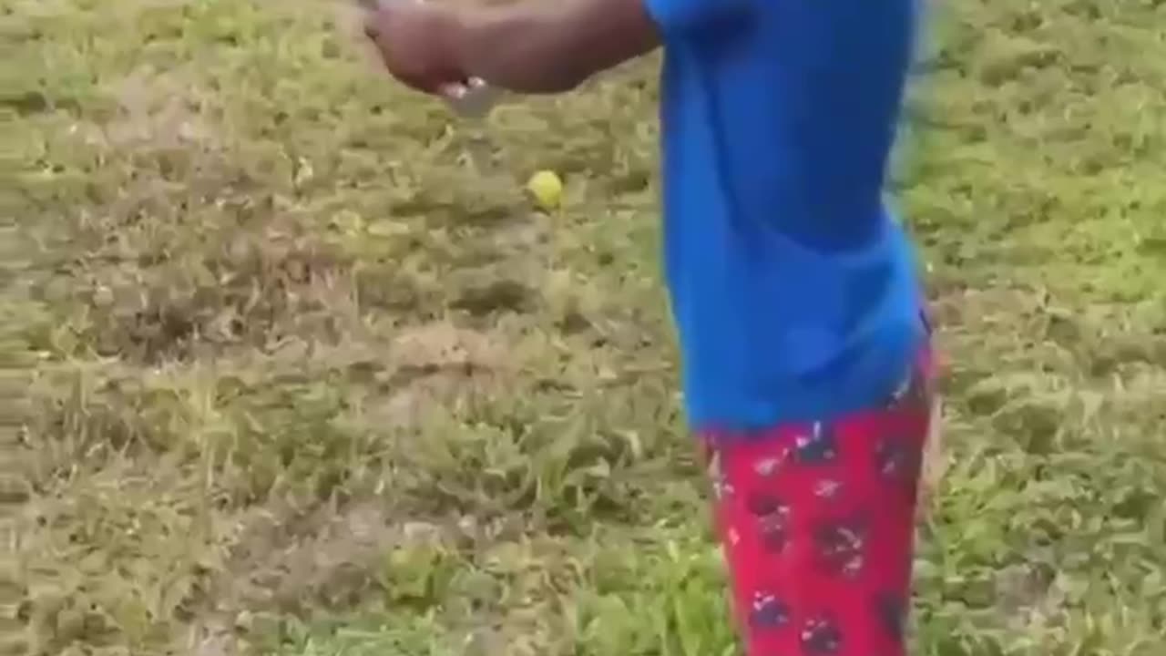 боньк