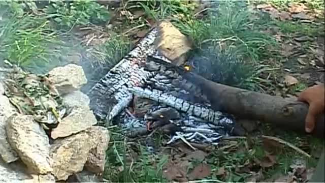 Outdoor-Survival 3: Räuchern