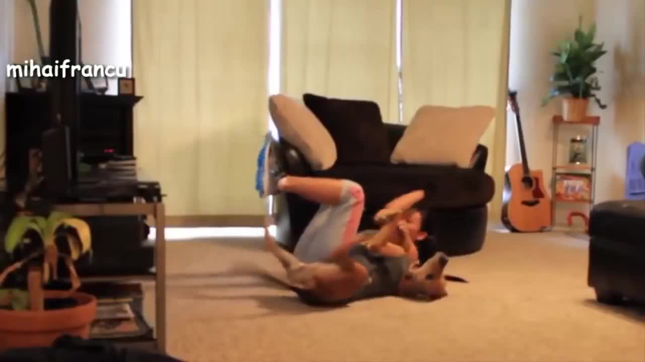 Amazing Dog Help the Owner Workout So FUNNY! 2021