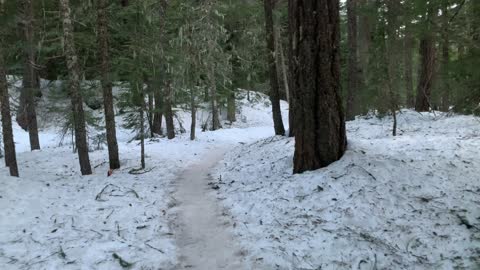 Very Cold & Icy Trail – Tamanawas Falls – Mount Hood – Oregon – 4K