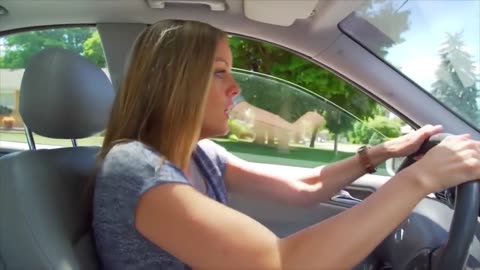 Dashcam::For Safety Drives