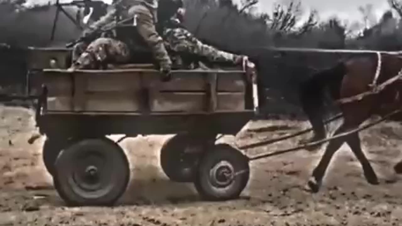 Russians Call in Backup