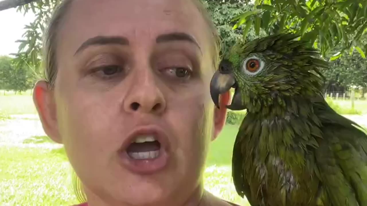 A WOMAN DECIDED TO REPRIMAND HER PARROT FOR CHEWING ON CHARGING CABLE 🤭THIS IS WHAT CAME OUT OF IT