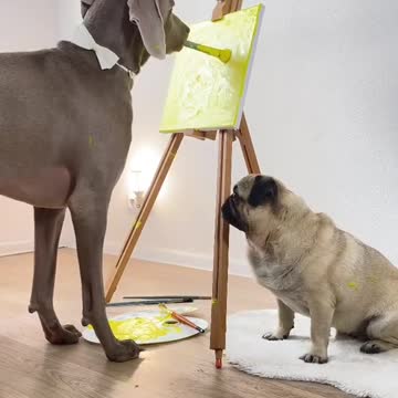 SMART DOBERMAN PAINT BULLDOG.mp4