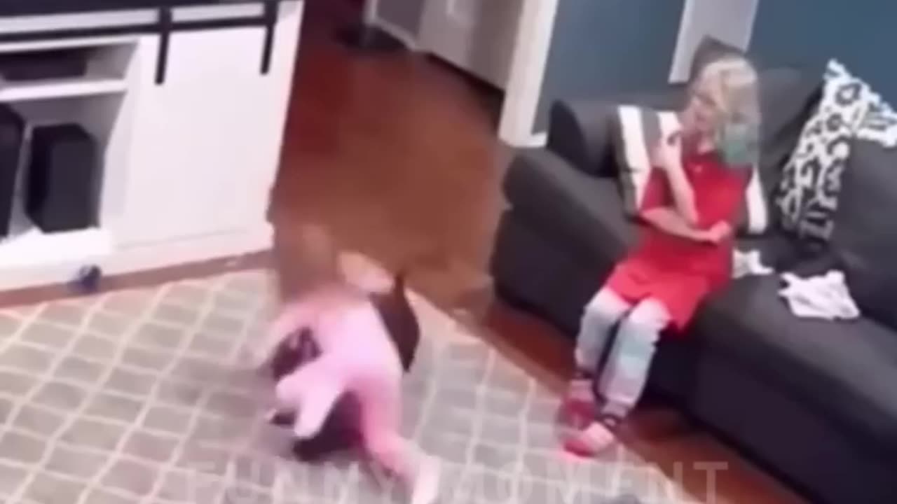 Funny Animals Top Viral Videos , Funny Dogs Cats Pets And Animals Viral