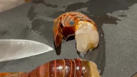 Chef cutting lobster