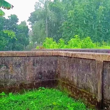 Very hot today, only saw rain 🥵🥵