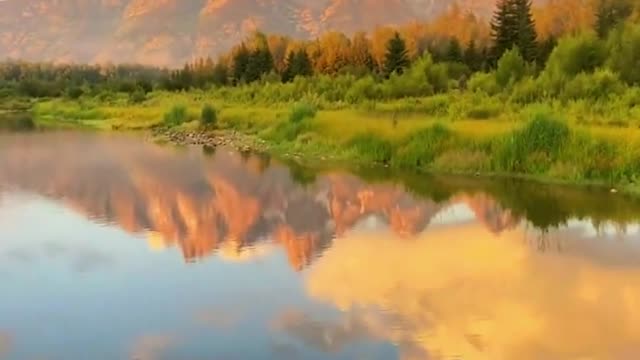 People who like this kind of atmosphere must have a unique heart. Healing landscape
