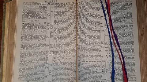Esther 7